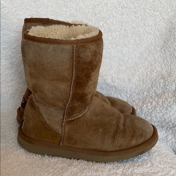 Classic Short Uggs - Picture 4 of 5